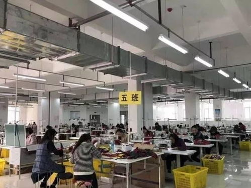 婚姻的代价 彩礼债务下的婚姻危机与反思