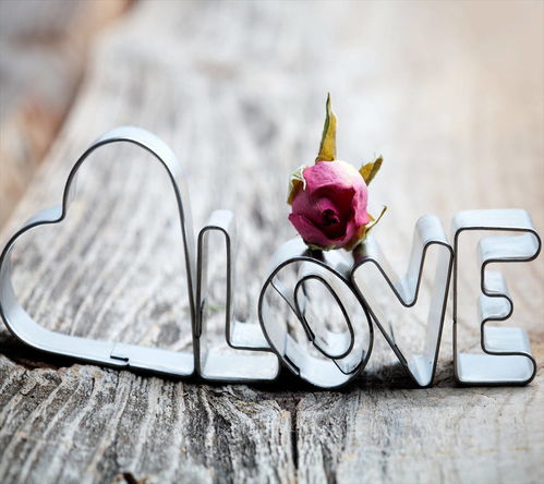 昆明好姻缘征婚服务中心 为什么越来越多的单身人士选择婚介机构相亲