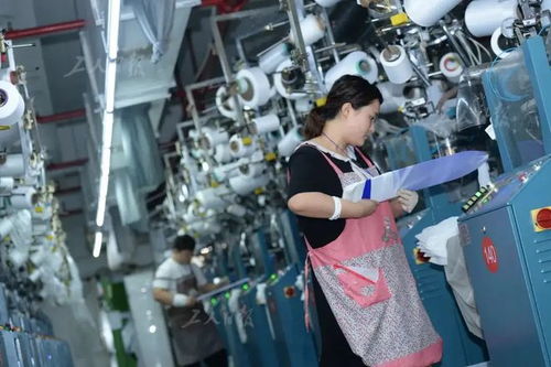 边界与尊重 职场社交中的分寸与反思