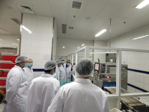 智能科技赋能民生服务 金丰餐饮自动化配餐与婚姻介绍服务的创新融合