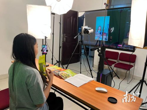 双11粤东西北婚介服务火爆，折射区域婚恋新趋势