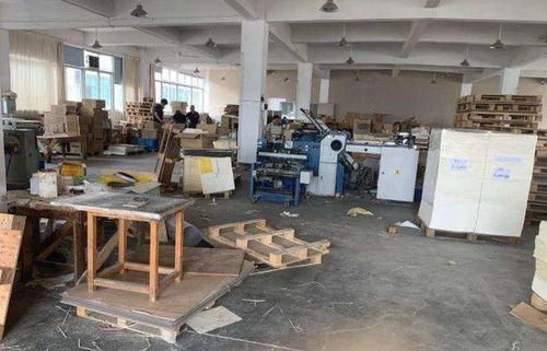 温州富婆10年付出600万包养男友，却遭拳击身亡，爱与背叛的警示