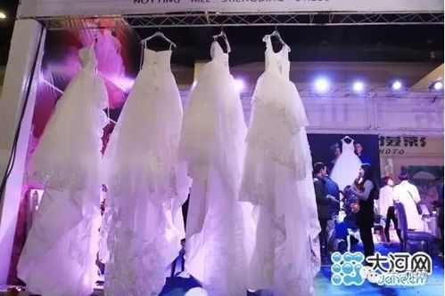 郑州婚介市场乱象调查 用户资产随意填，个人信息无隐私保护